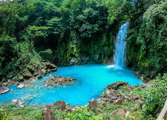 Full Day Rainforest